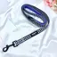 Pawsome Life Houndstooth Lead